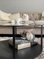 3 Seater Fabric Sofa Beige CHESTERFIELD