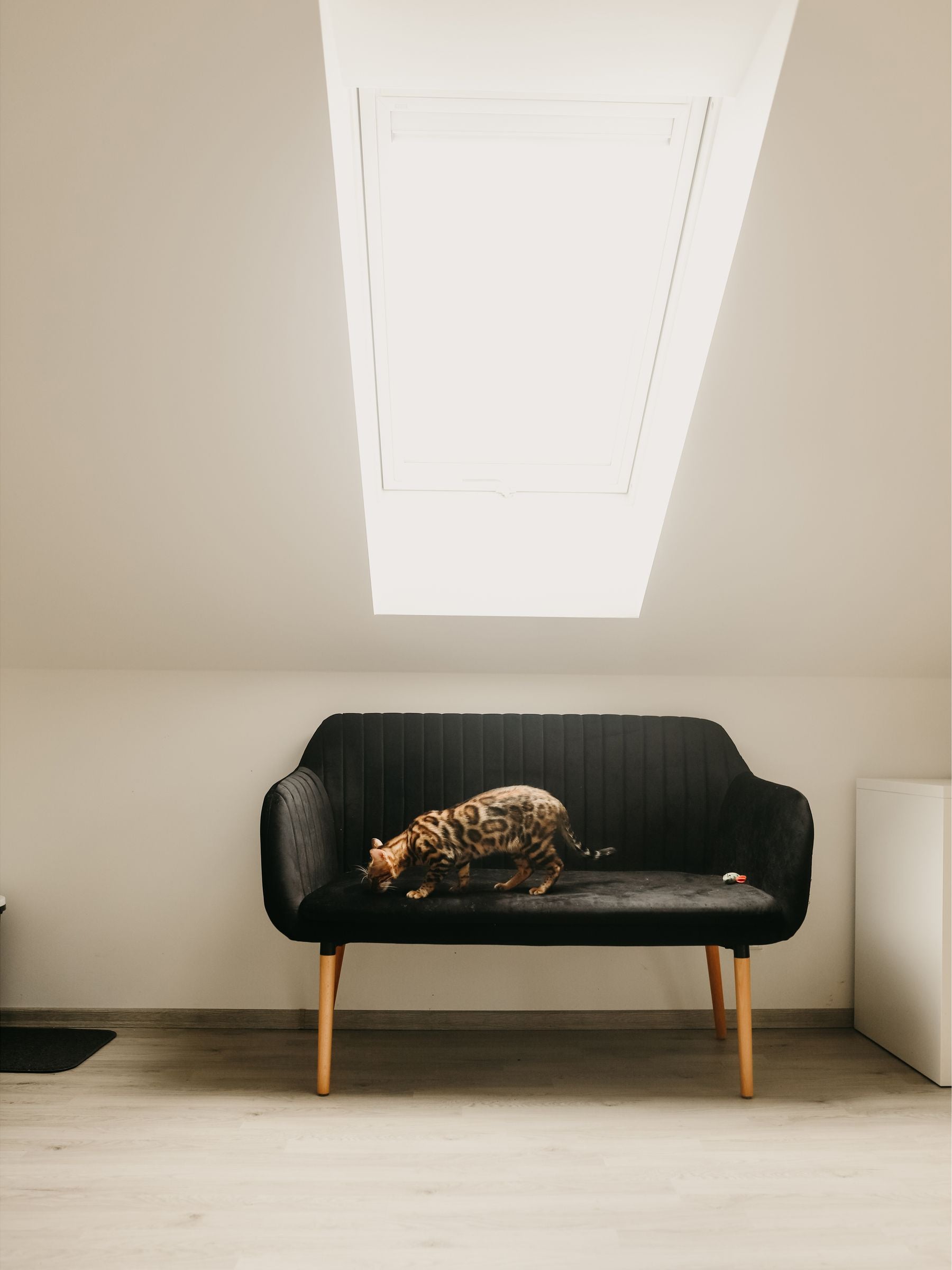 2 Seater Velvet Kitchen Sofa Black TABY